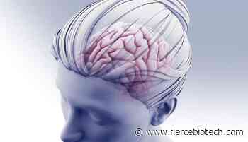 Route 92 Medical collects $111M for its brain blood clot-clearing devices - FierceBiotech