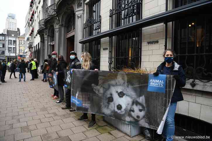 “Bont is bloed”: Animal Rights protesteert tegen verkoop van bont in Antwerpen
