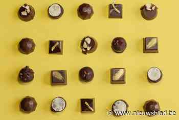 Rekub verkoopt groentepralines nu ook permanent