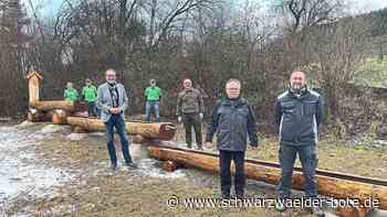 Sulzer Gemeinschaftsleistung: Schafbrunnen erfüllt wieder seinen Zweck