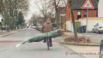 Weihnachtsbaum auf dem Gepäckträger: Polizei mahnt mit kuriosem Foto
