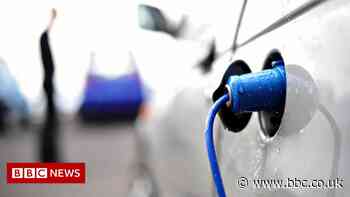 Motoring groups criticise cut in electric car subsidies