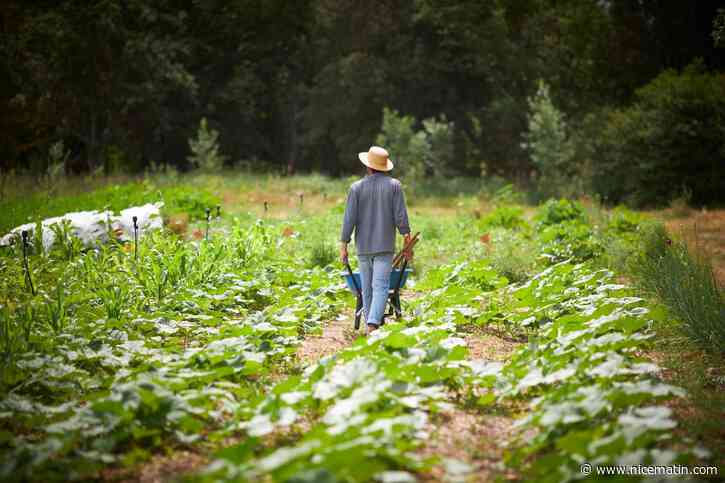 Et si l'on créait des fermes dans le Var?