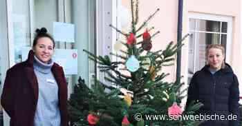 Im Haus St. Meinrad in Ravensburg steht ein ganz besonderer Weihnachtsbaum - Schwäbische