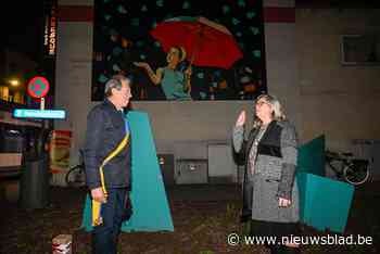 Districtsraadslid dat celstraf riskeert voor bezit kinderporno, vervangen in Deurnse districtsraad