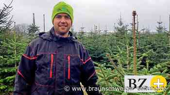 Öko-Weihnachtsbäume aus Königslutter und Dibbesdorf