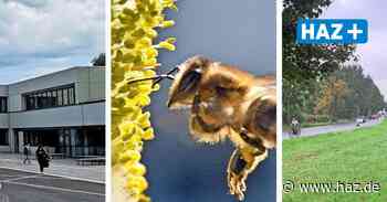 Mit Wald und Bienen-AG: KGS Hemmingen will klimaneutrale Schule werden - Hannoversche Allgemeine