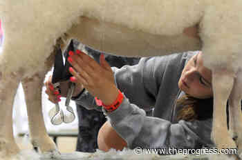 9 Chilliwack festivals and events receive thousands in provincial recovery funding dollars – Chilliwack Progress - Chilliwack Progress