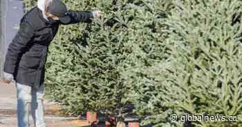 COVID-19: What can you do in Alberta during the holidays?