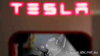 'Your tits are small, but you have a big ass': More women come forward with sexual harassment claims against Tesla