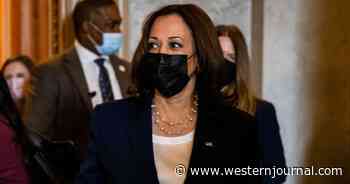 Revealed: The Vital Immigration Task 'Border Czar' Kamala Harris Has Ignored for 6 Months Straight