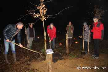 Sterrenbos als gedenkplaats voor overleden kindjes - Het Belang van Limburg