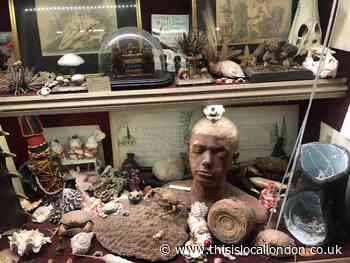 Museum of curiosities, Tia Highams Park School