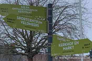 Gemeente gaat de kersttoer op (Laarne) - Het Nieuwsblad