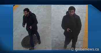 Calgary police looking for help identifying person involved in LRT assaults