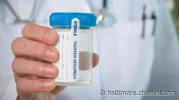 Mayor Scott Removes Pre-Employment Drug Tests For Some Baltimore City Jobs - CBS Baltimore