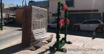 Roban y vandalizan decoración navideña del Centro de Fresnillo - Imagen de Zacatecas, el periódico de los zacatecanos