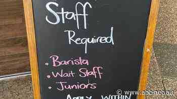 Unemployment drops as lockdowns end, employers snap up 366,000 staff