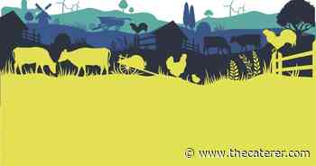 Governments response to National Food... - The Caterer