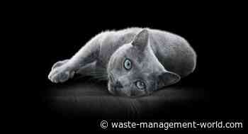 Mars Petcare will use food-safe recycled packaging - Waste Management World