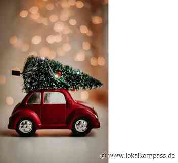 Essen und Trinken: Weihnachten und Wohlfühltage miteinander verbinden - Essen - Lokalkompass.de