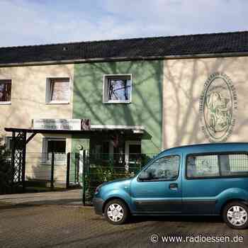 Hundesteuer in Essen: Wie künftige Tierbesitzer sparen können - Radio Essen