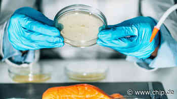 Abschreckende Entdeckungen: Was Stiftung Warentest, Öko-Test und Co in unserem Essen findet - CHIP Online Deutschland