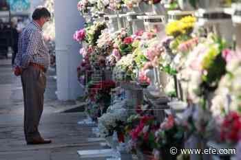 Los precios de las flores para Todos los Santos suben un 10-20% - efe.com