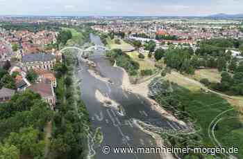 Alt-Neckar bei Ilvesheim und Mannheim-Seckenheim soll hübscher und ökologischer werden - Ilvesheim - Nachrichten und Informationen - Mannheimer Morgen