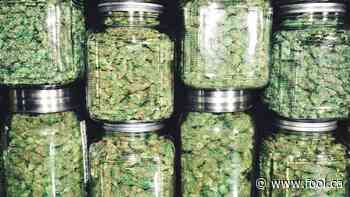 No Respite for Aurora Cannabis Investors - The Motley Fool Canada