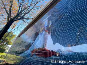 A Roma il primo Green Smart Wall: ecco l'opera che trasforma lo spazio pubblico - Yahoo Finanza