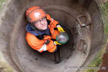 Dresden: Der Rattenjäger von Dresden - Sächsische.de
