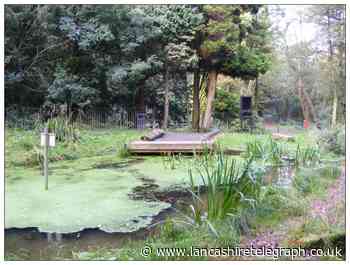 Friends of Sunnyhurst Woods win £5,000 in Lancashire Telegraph charity competition