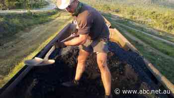 Two people in custody after activists shovelled coal off Queensland freight train