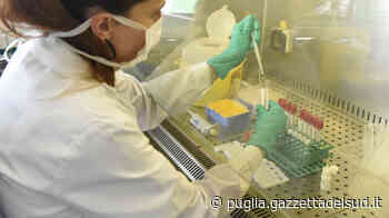 Covid a Barletta, Andria, Trani: provincia italiana con minor casi - Gazzetta del Sud - Edizione Cosenza