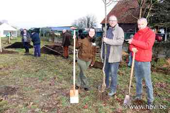 “Dit wordt het gezelligste en gezondste plekje van Kinrooi” - Het Belang van Limburg