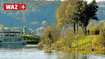 Polizei Witten: Immer öfter Hinweise auf Corona-Marschierer - Westdeutsche Allgemeine Zeitung