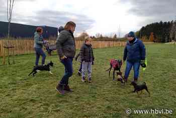 Bilzen opent nieuwe loopweide: 1.200 vierkante meter speelplezier voor honden - Het Belang van Limburg
