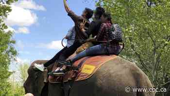 Canadian zoo accreditation body bans elephant rides. Advocate says change is overdue