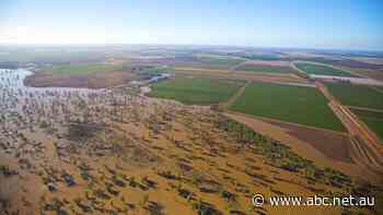 Flood plain irrigation inquiry committee calls for licensing delay