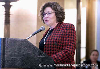 Senator Nelson celebrates airport economic development grant for Rochester - Minnesota Senate Republican Caucus