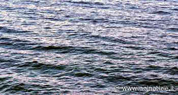 Cinquemila ricci, pesca di frodo nel mare laziale: di Trani i tre denunciati - Noi Notizie. - Noi Notizie