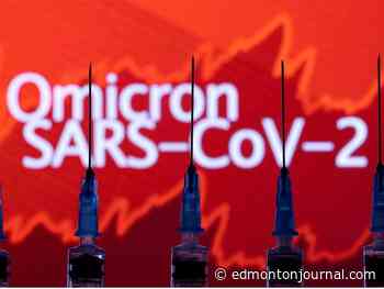 David Staples: Are Albertans cool with an Omicron Christmas and a locked down New Year? I highly doubt it