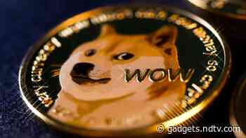 Dogecoin Whale Activity Goes Up 148 Percent After Tesla's DOGE Announcement