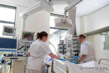 Bedrijf uit Edegem rekruteert verpleegkundigen voor Nederlandse ziekenhuizen: “Een hoger loon en meer respect” - Gazet van Antwerpen