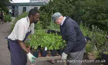St Mary’s Secret Garden launches appeal for donations amid funding uncertainty