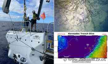Ex-US navy commander reaches the bottom of all four of the world's deepest ocean trenches