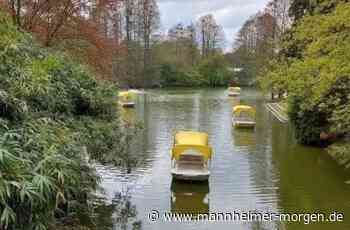 Mannheimer Familienpass für 2022 erhältlich - Mannheim - Nachrichten und Informationen - Mannheimer Morgen