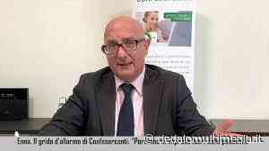 Enna - Confesercenti: Appello ai cittadini ad acquistare prodotti delle aziende locali - dedalomultimedia.it