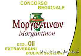 Enna - Concorso Morgantinon 2022: Avviata la macchina organizzativa per la decima edizione - dedalomultimedia.it